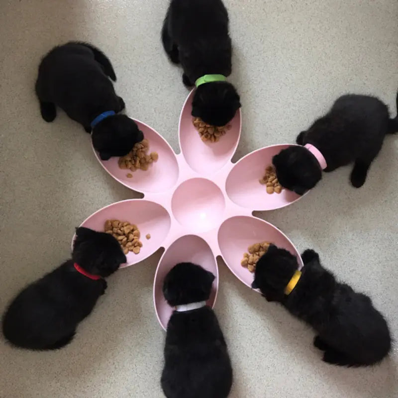Pet Dinner Plate